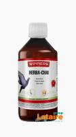 Belgian Winners Herba-Chai