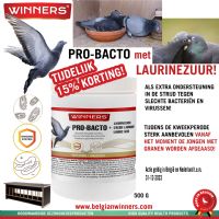 Belgian Winners Pro-Bacto + Lauric acid