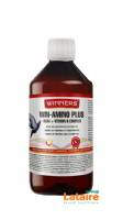 Belgian Winners Win-Amino Plus (1liter)