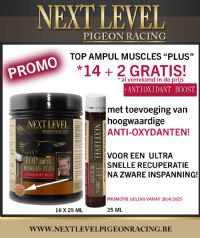 Next Level Top Ampul muscles Plus (16stuks)